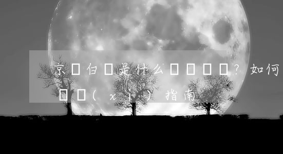 京東白條是什么？如何還款？詳細(xì)指南